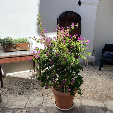 Piazzetta Del Forno Appartamento Assergi Esterno foto